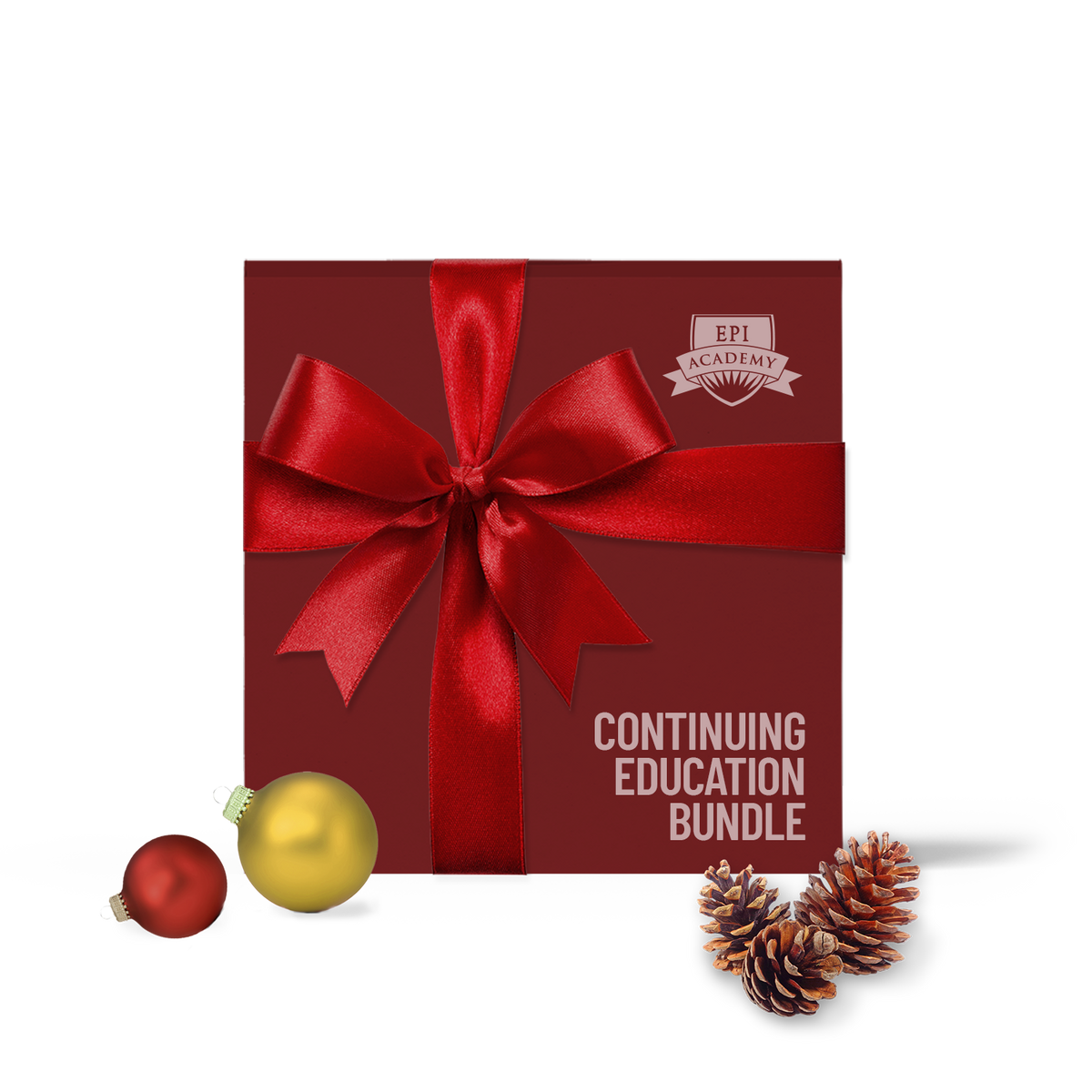 Continuing Education Bundle (EPI Academy) – Exit Planning Institute